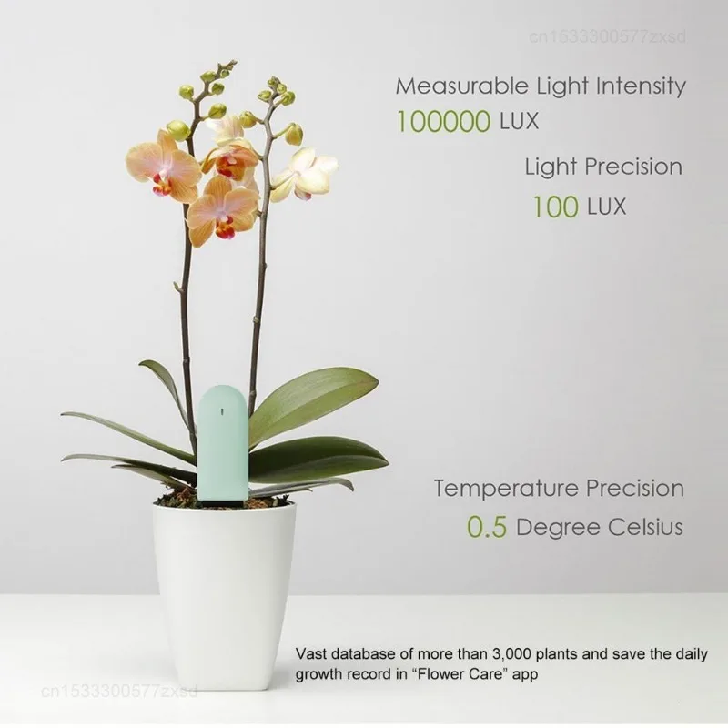 Youpin-my植物のためのデジタルオゾン監視,国際版,芝生の花の手入れ,土壌の照明,インテリジェントテスター