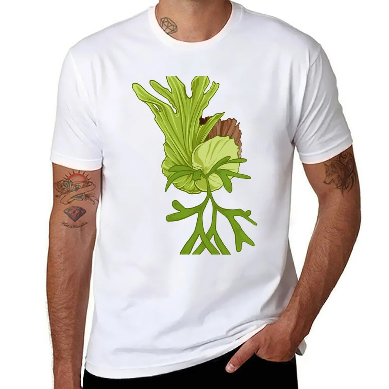 

staghorn fern illustration - platycerium coronarium T-Shirt t shirt custom print essential t shirt man graphic t shirt T-Shirt