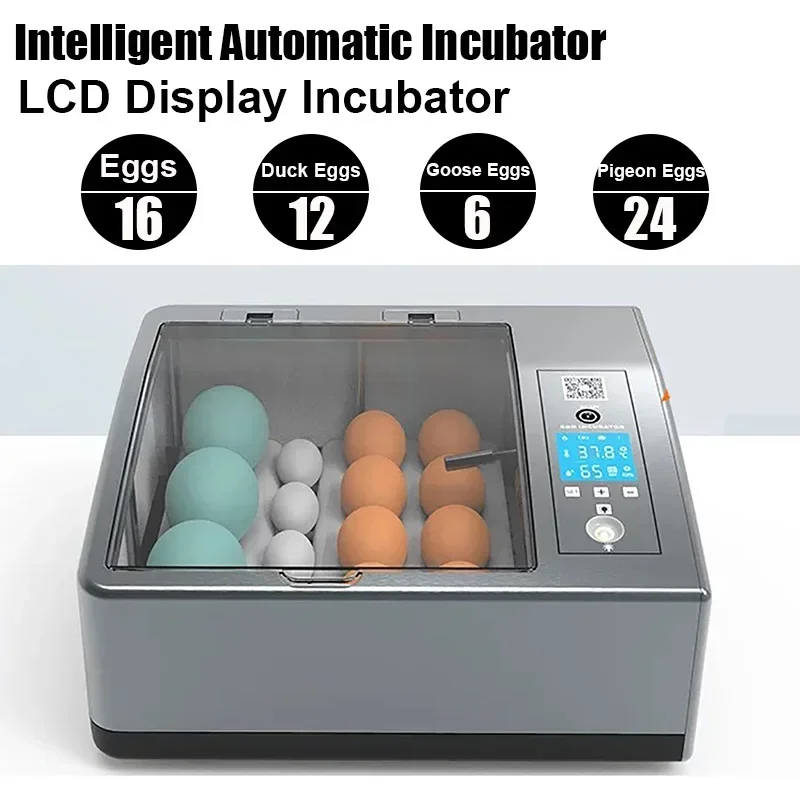 

Fully Automatic LCD Display Incubator Dual Power Incubator Can Accommodate 16 Eggs /12 Duck / 6 Goose / 24 Pigeon Eggs Home Tool