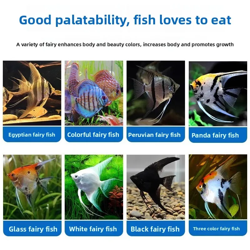 Jingyipin Sinking Angelfish Food - تركيبة خاصة للناقشة، ألتوم وأليفش الملائكي البيروفي (كريات صغيرة غنية بالبروتين