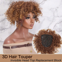 AILIADE Synthetic Hair For Women Clip-on hair Hairpieces Kinky Curly Natural Color Cover the white Hair Top Closures Hairpins