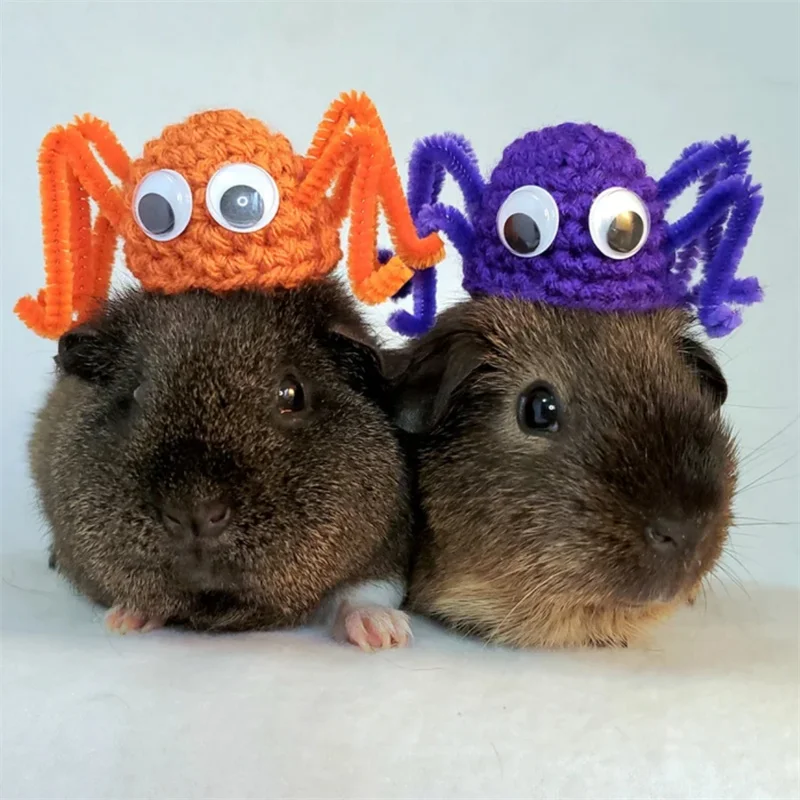 

Handmade crocheted Little hamster hat Cross-border sales New style Spider shape Halloween cosplay costume Funny ghost spider hat