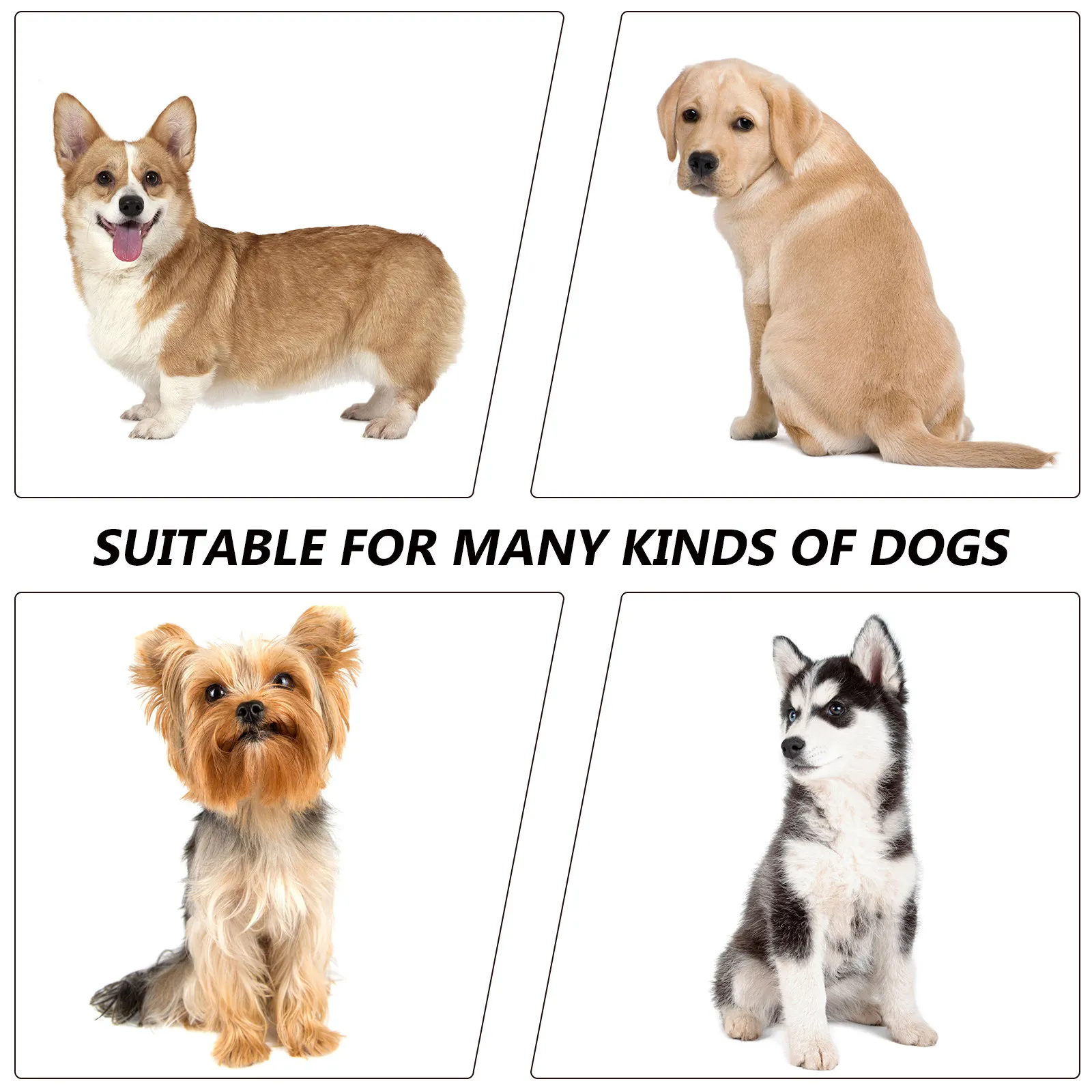 

Christmas Dog Clothes Size Fashion Pet Costume for Small Dogs Outdoor Walking Jogging Party Event Photo Session