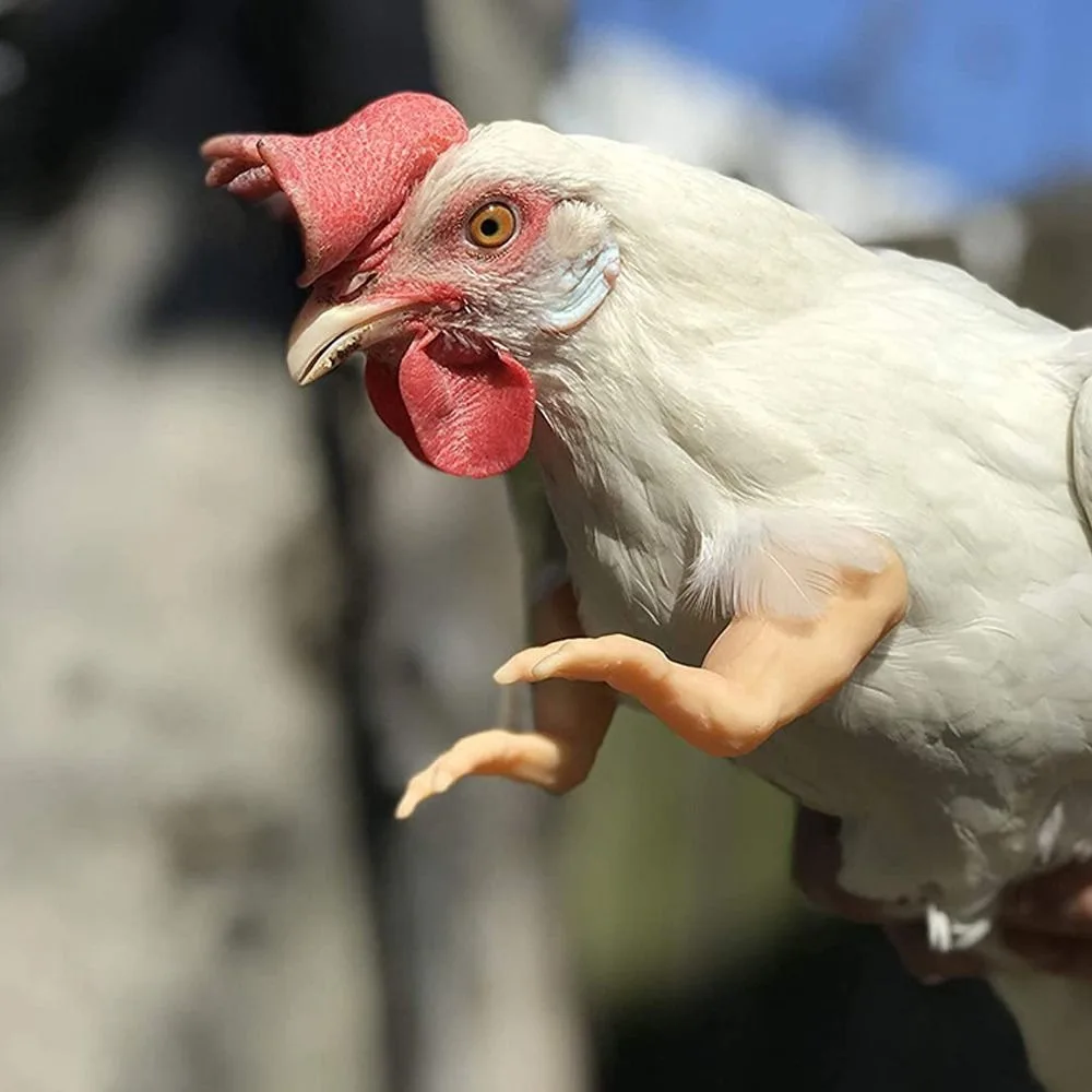 

Funny Fighting Chicken Arms Toys Hulk Arms Giant Arm Wearing Muscle Arm Novelty Artificial Chicken Forelimb Toy Pet Accessories