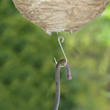 5-1PCS Wasp Nest Decoy Hornets Deterrents Non-Toxic Hanging Wasp Deterrent Beehive Lanterns Garden Repellent Trap Outdoor Light