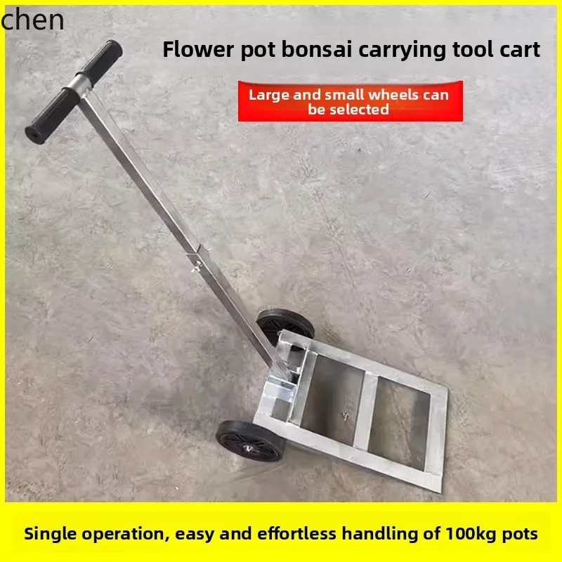 Lxc Bonsai Large Fl…