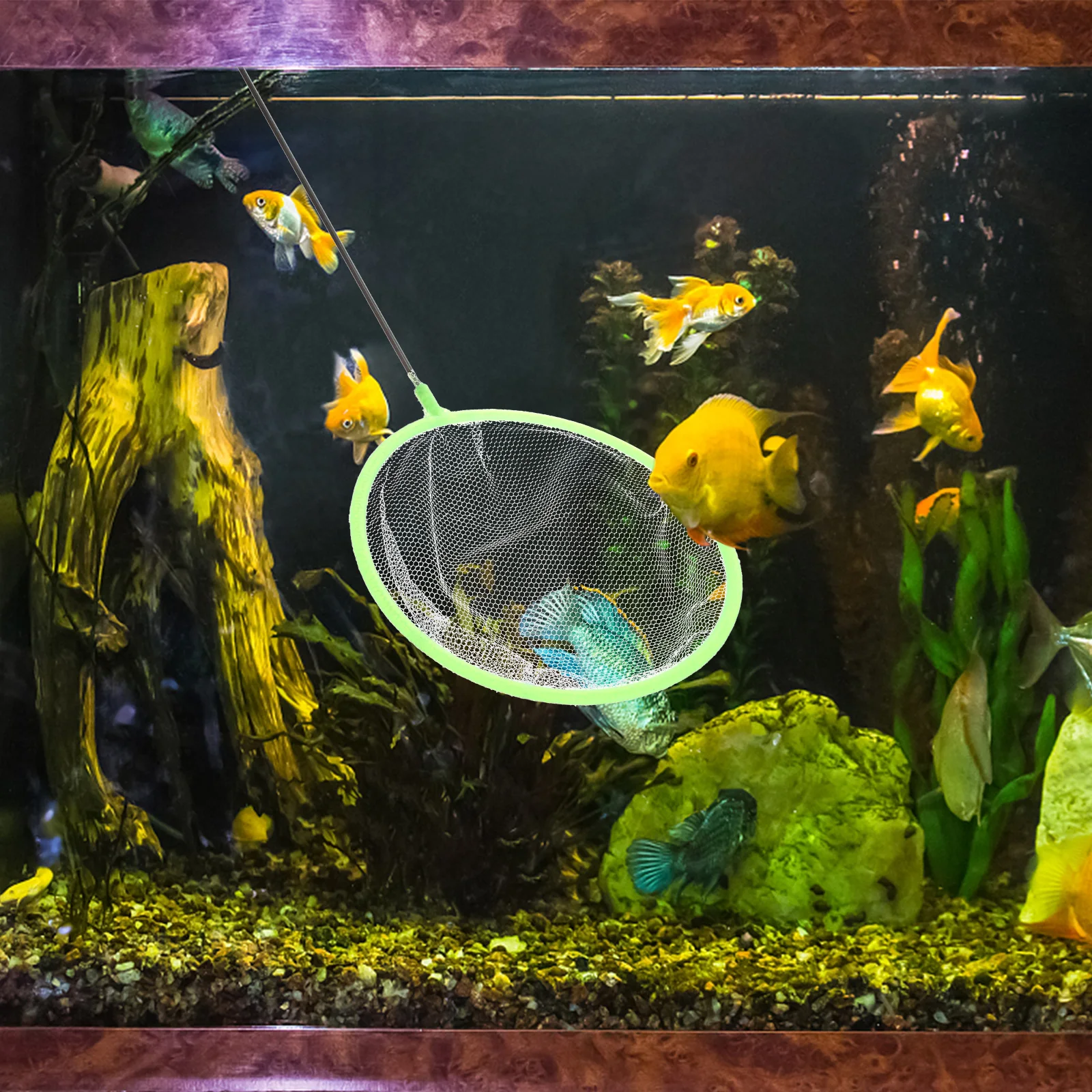 

20 Pcs Fish Tank Net Soft Mesh Aquarium Bowl Fishing Cloth Small Child Catch Fish Shrimp Net Pet Supplies