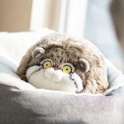 Chubby Pallas's Cat Plush Toy, Fat Manul Stuffed Animals Toys Doll, Soft Plush Stuffed Animal Plushie, Original Design Toy