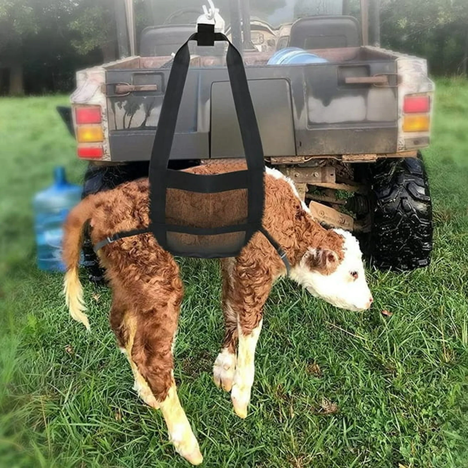 1 قطعة حبال العجل لوزن الحيوان-مقياس العجل المعلق مقياس الوزن الرافعة مع حزام قابل للتعديل لوزن الكلب الماعز الماشية #4