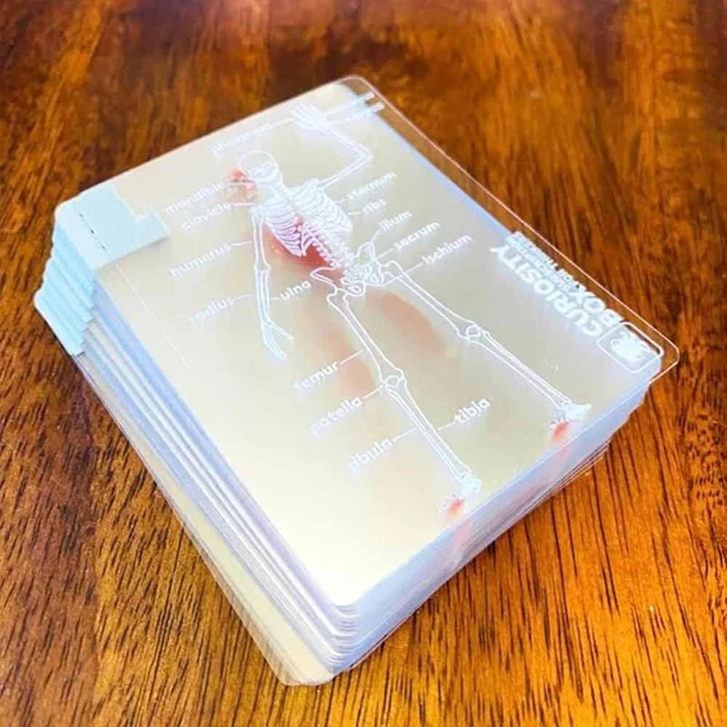【Human Anatomy Playing Cards The Body Deck Funny Transparent Human Anatomy Playing Cards Board Playing Magic Game For Party】