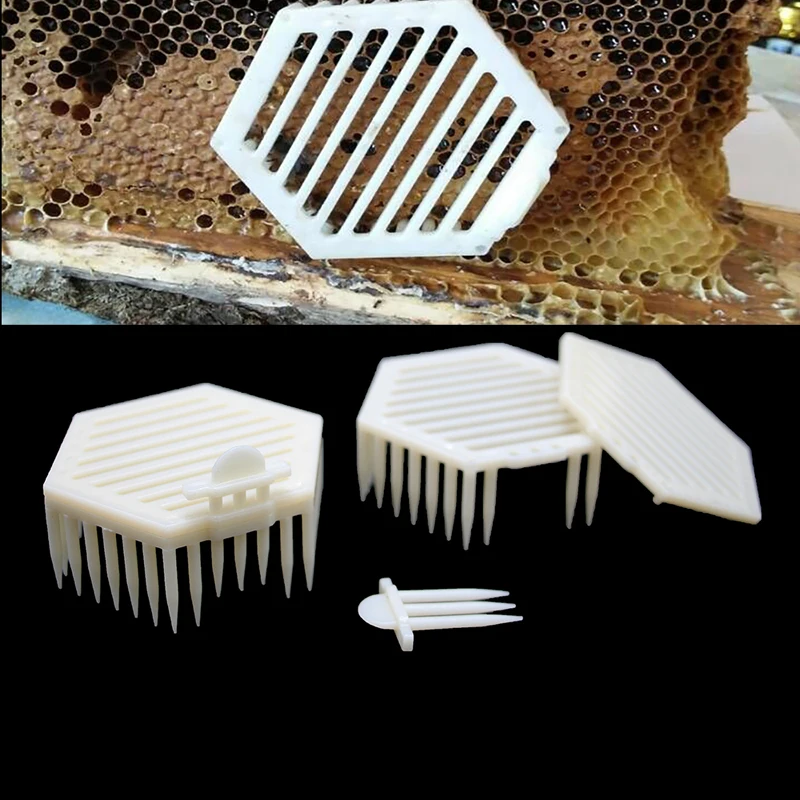 4PCS queen cage rearing system plastic bee cages king supplies beeing honig cell bees tools apicultura equipment beekeeping set