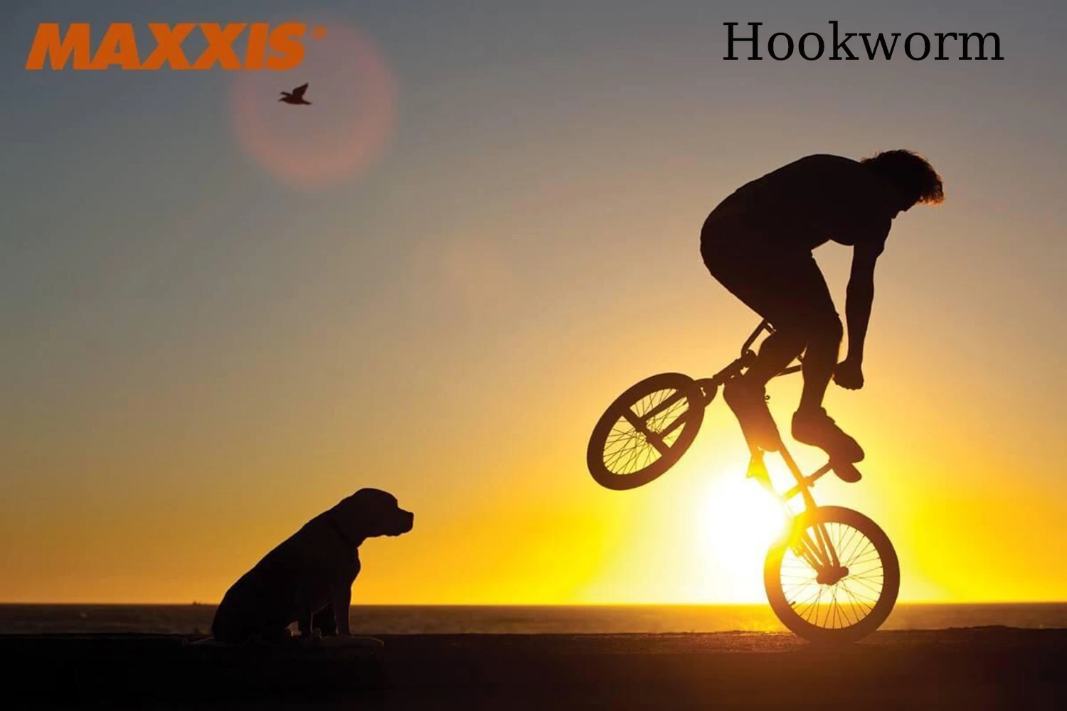 MAXXIS Hookworm 26x2.5 Fahrradreifen BMX Drahtreifen Clincher-Reifen für Street Park Vert Flatland 20 Zoll 24 26 27.5 29 Größen – Detail 9