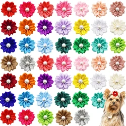 Lot de 50 ou 100/200 nœuds en caoutchouc pour poils de chien et chat, accessoires de toilettage avec perle pour animaux de compagnie