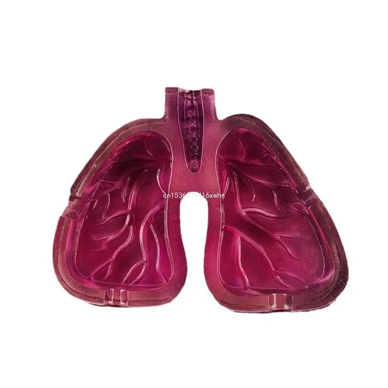 

Dropship Creative Lung Ashtray Add Artistics Touch to Your Space Fashion Home Decorations