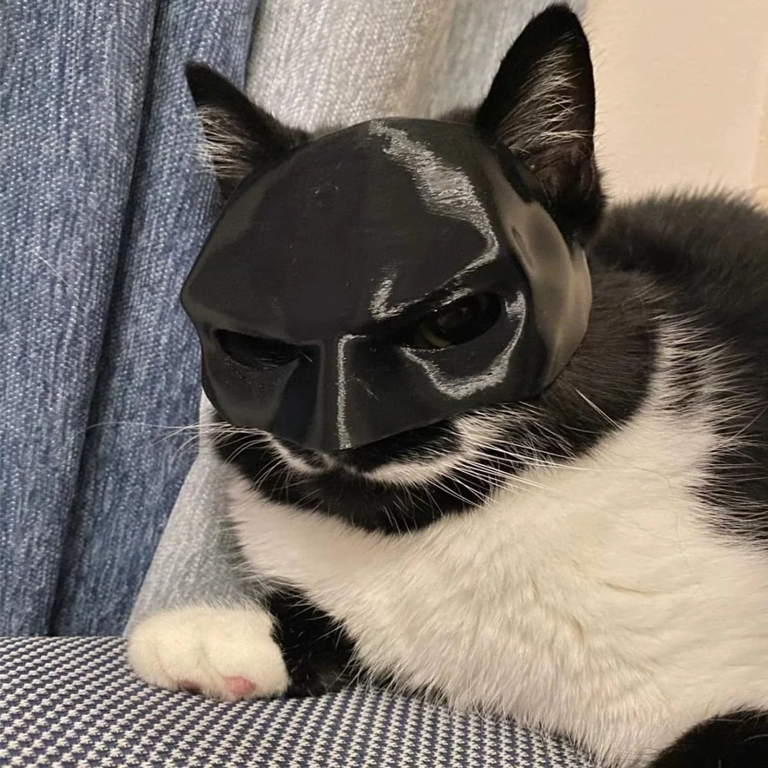 2-teilige Katzen-Avenger-Maske, schwarze Fledermaus-Halloween-Cosplay-Maske, lustige Plastik-Katzen-Party-Kopfbedeckung, Spielzeug, Foto-Requisiten, Haustier-Zubehör – Detail 6