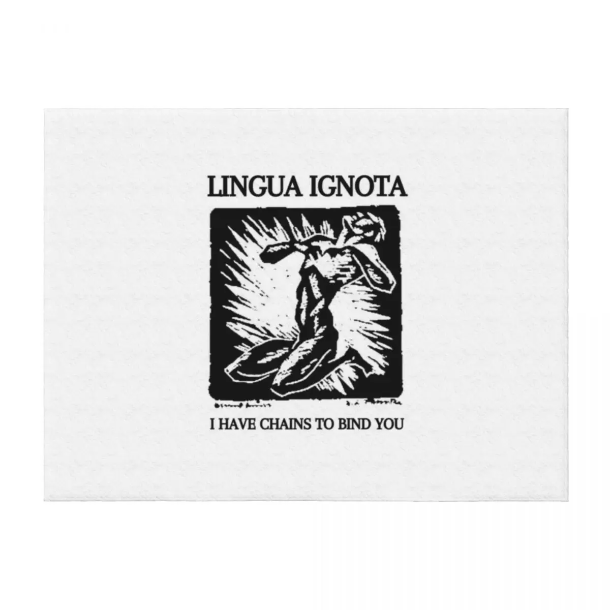 

LINGUA IGNOTA Throw Blanket Kid'S For Baby Stuffeds anime Blankets