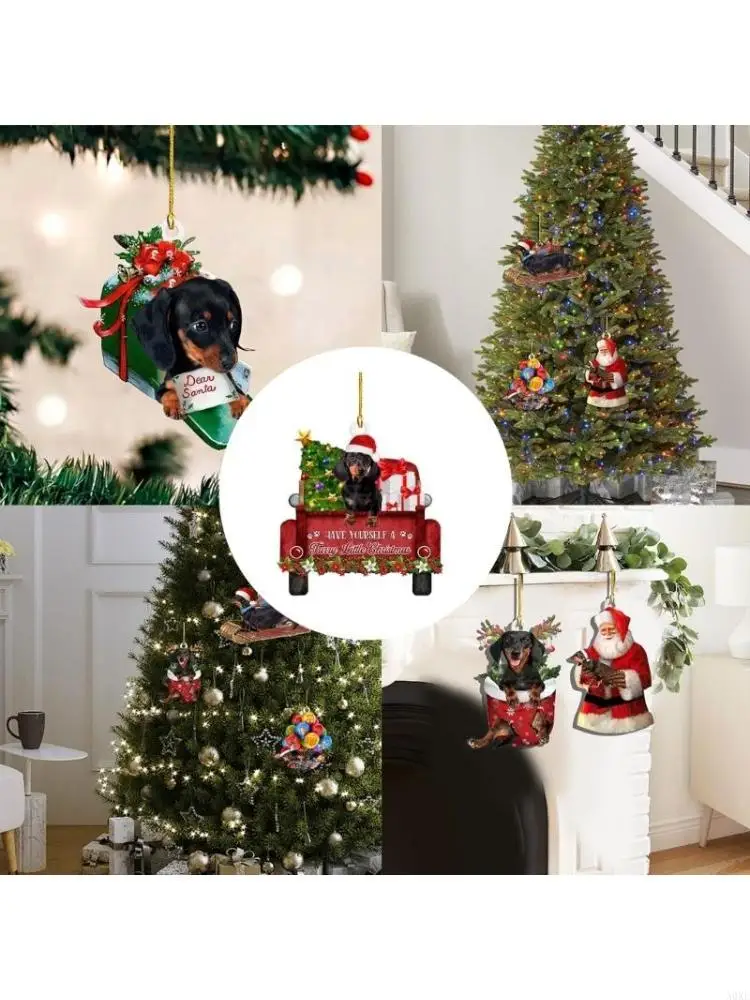 A0KE Sausage Dog Or… - image