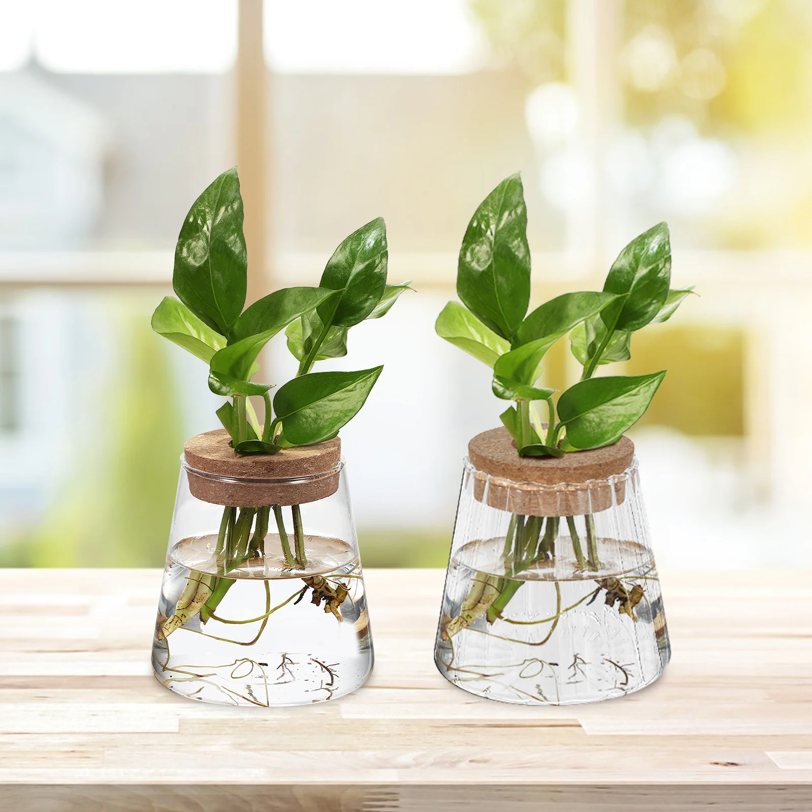 

3Pcs Transparent Hydroponic Plant Vases Glass Propagation Jars for Avocado Indoor Desktop Gardening Decorative Tabletop Planter