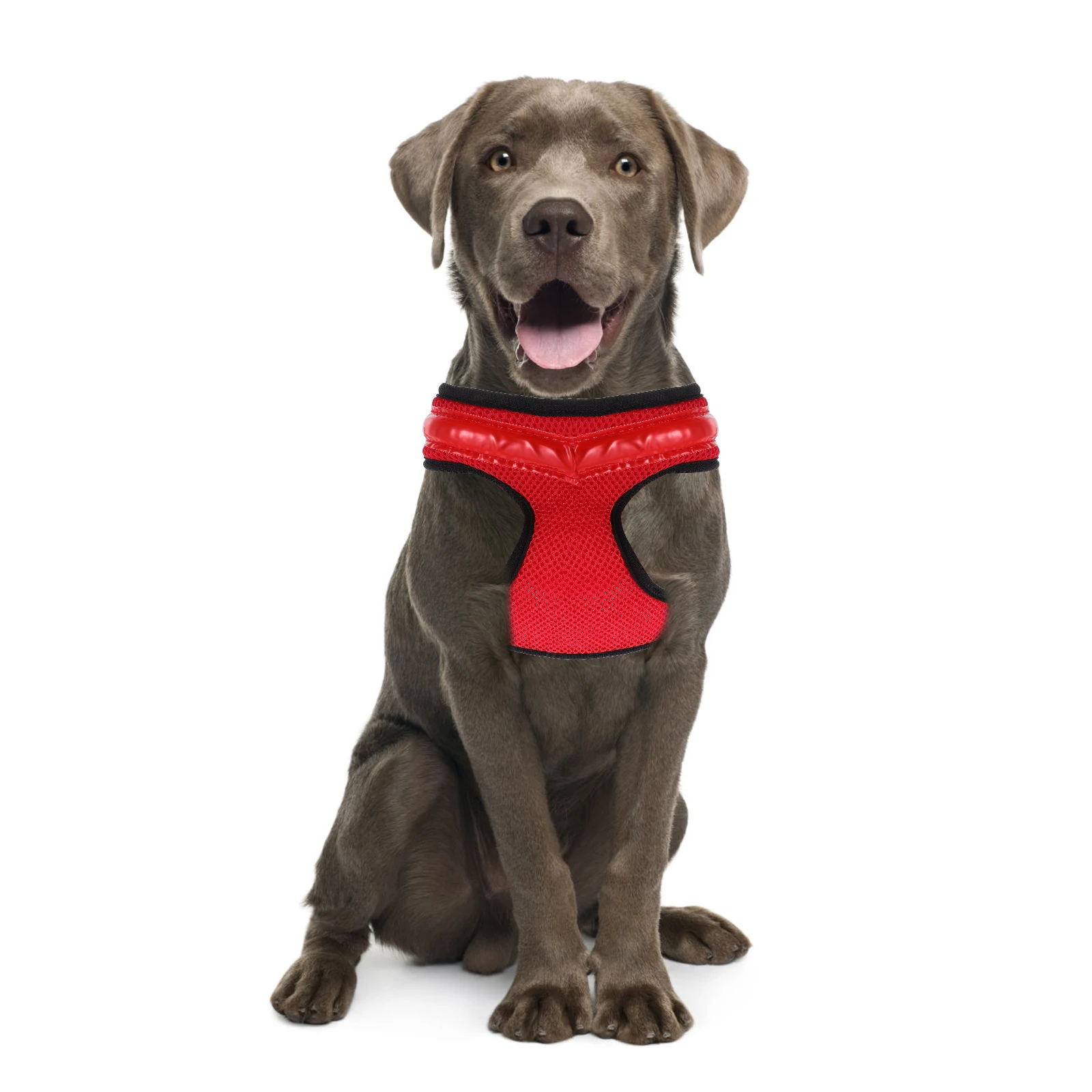 

1set 2024 New Glowing LED Dog USB Charging Luminous Pet Vest for Puppy Night Walking Red Nylon Reflective Breathable for Dogs