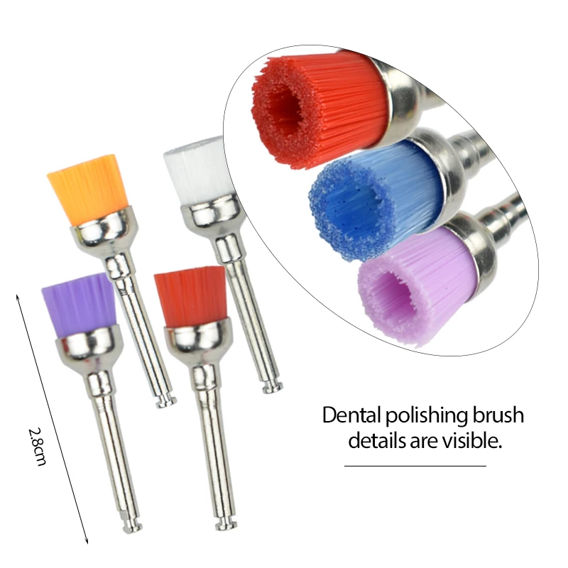 Dental Polishing Brushes Nylon Prophy Brush for Low Speed Handpiece Teeth Cleaning Tool