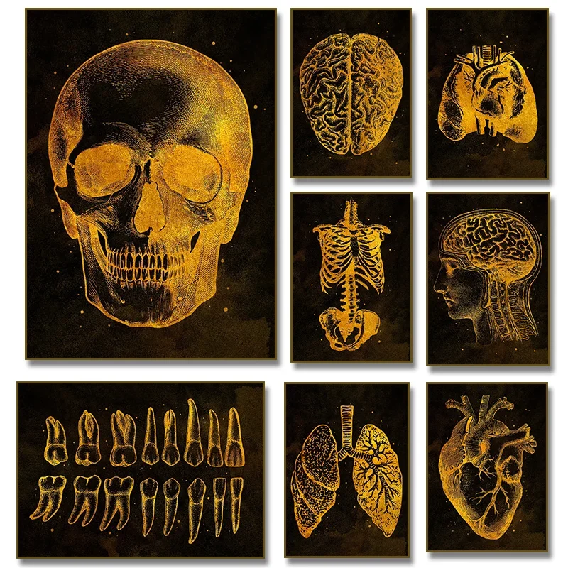 1pc frameless Canvas Painting  Anatomy Human Skull Heart Lung Skeleton Brain Teeth Poster Canvas Painting Print Golden Wall A
