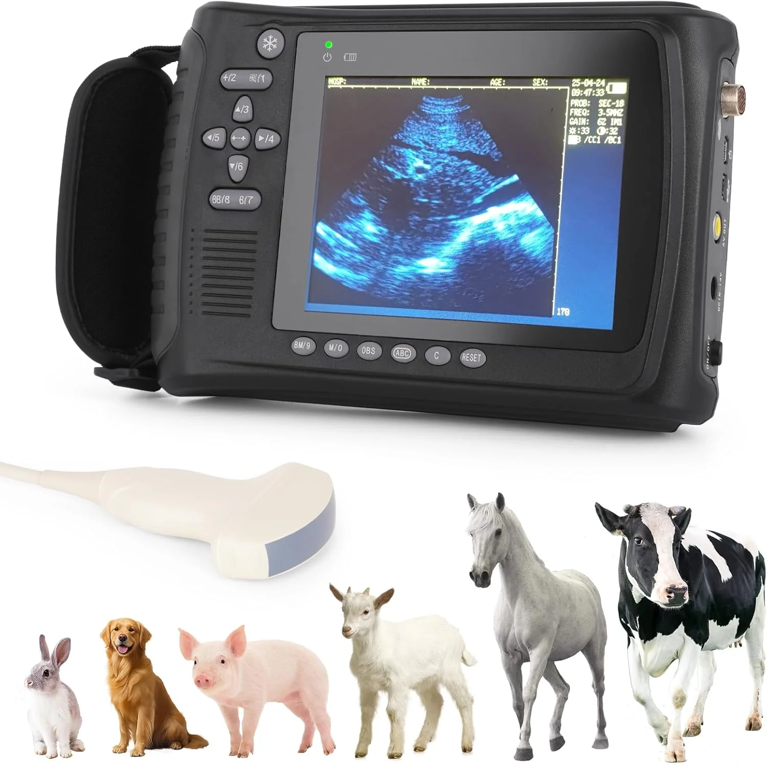 

Factory Price Handheld Ultrasound Machine Veterinary Equipment Portable Animal Ultrasound Scanner