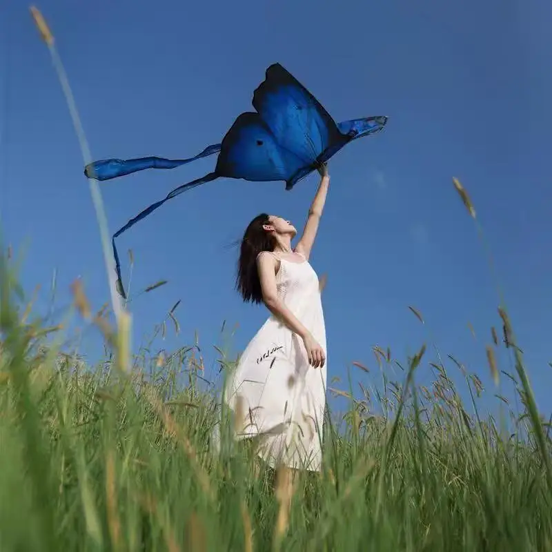 Nuove aquiloni a farfalla che volano per bambini aquiloni fabbrica sport da spiaggia gioca uccello Aquilone linea koinobori Aquilone surf fluo aquiloni nylon