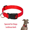Red dog collar