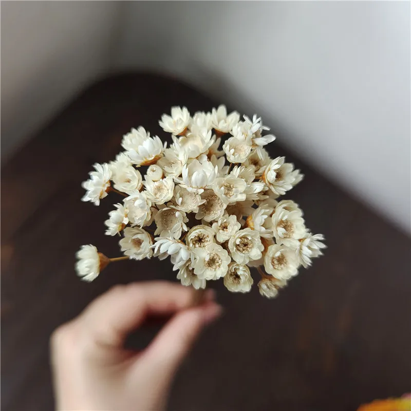 Mini Daisy Small Star Flowers Bouquet Decorative Dried Flowers Natural Plants Preserve Floral for Wedding Home Decoration