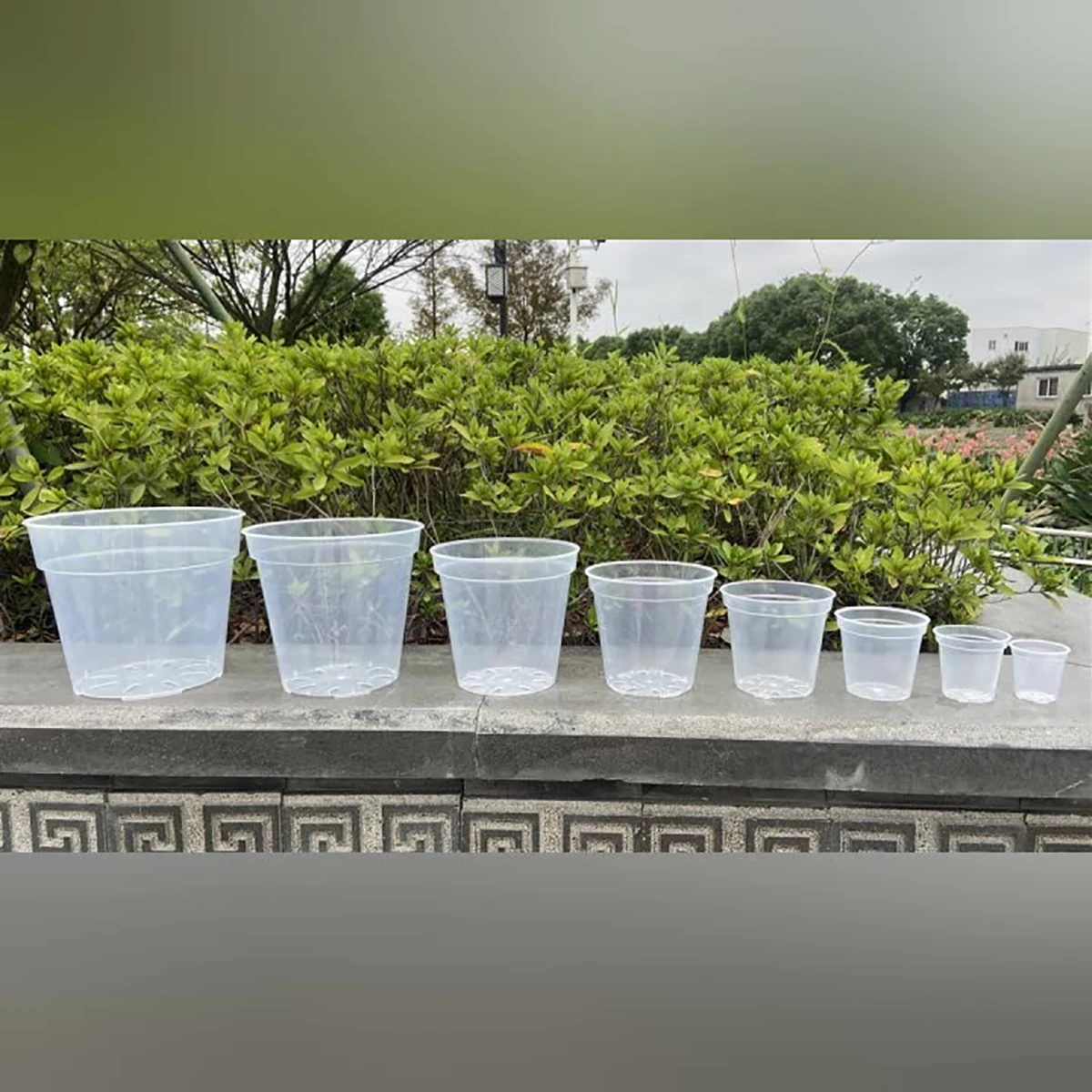 Macetas redondas transparentes - Orchid Potting Mix reseña y precio