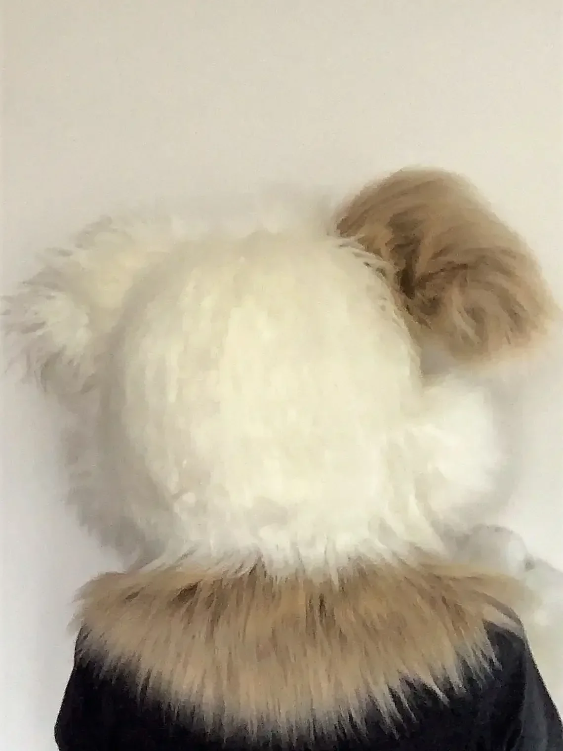 Fursuit Wolf Brown Long Fur Furry Costume Husky Dog Fox Mascot Costume Cosplay Party Fursuit Halloween Suit Adult Size