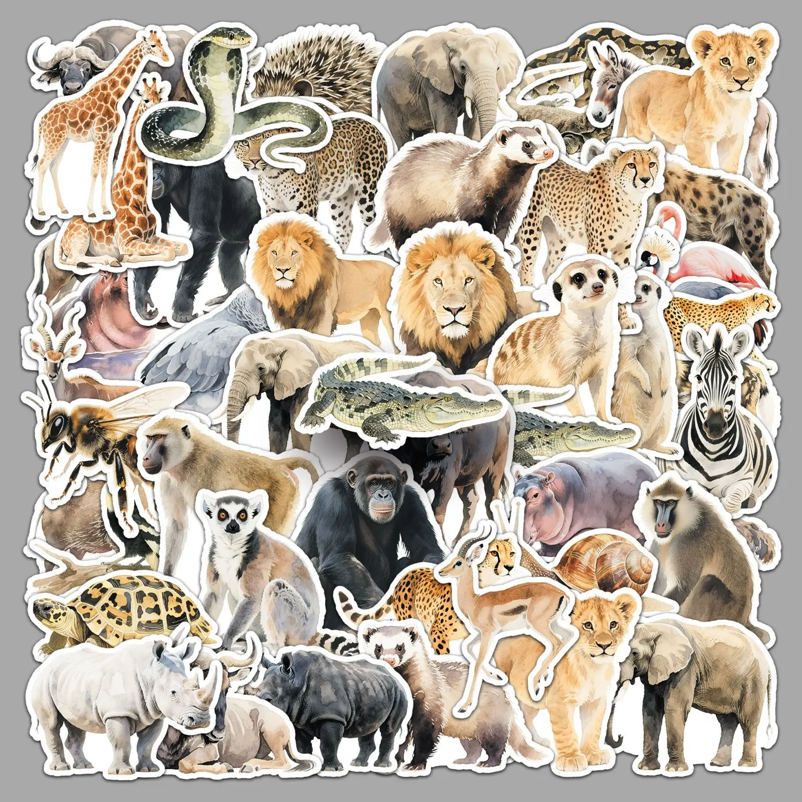 10/30/50 قطعة الحيوان الأفريقي الكتابة على الجدران ملصقات شخصية الكرتون المائية الرياح ليوبارد الزرافة ملصقات الزخرفية DIY بها بنفسك الغيتار
