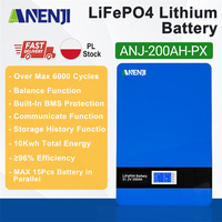 High-Performance 51.2V 100Ah 00Ah LiFePO4 Wall - Mounted Battery Pack 10Kwh for Solar On/Off Grid! 6000+ Cycles, Built - in BMS