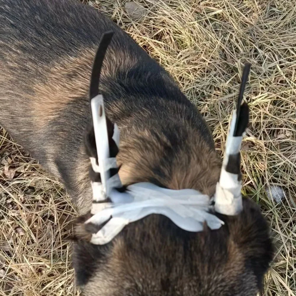 

Adjustable Doberman Ear Posting Kit Adhesive-Fixed Straighten Dog Ear Stand Up Support with Tape Ear Care Dog Ear Posting Kit