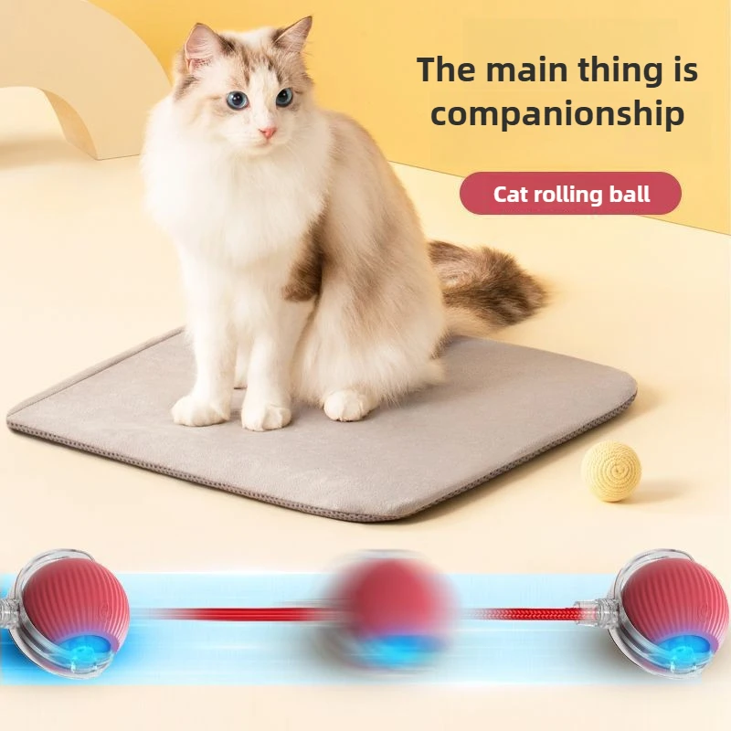 Cat Ball Toy Pet Supplies Simulated Tail Automatic Rolling Ball Dog and Cat Training to Imitate Rat Rechargeable Electric Toys