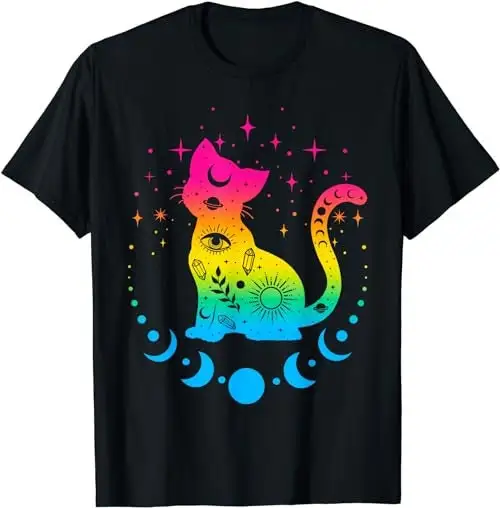 Pansexual pride flag colors astronomy cat T Shirt SweaT 48079