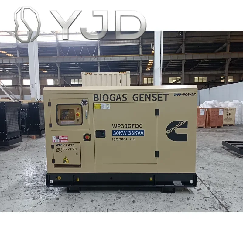 Natural Gas & Biogas Generator with Water Cooling and 24V DC Start for Industrial Use
