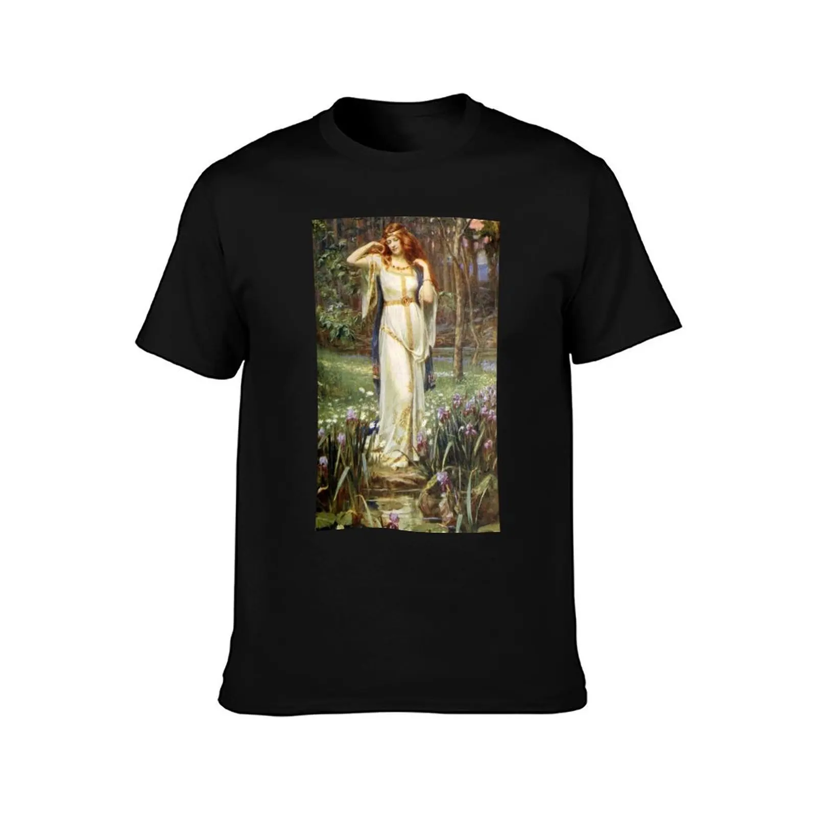 Freyja and her Necklace - James Doyle Penrose T-Shirt Plus Size Basic Short Sleeve Top
