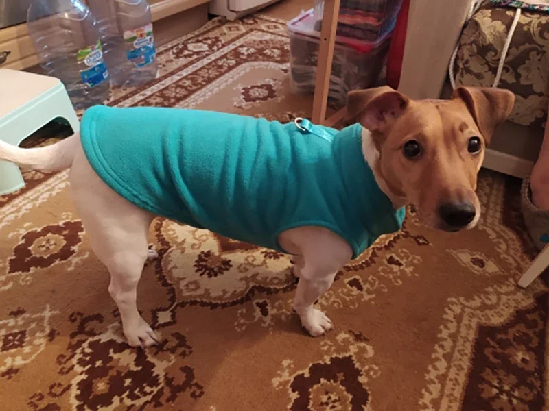 Hundebekleidung, Wolljacken, Chihuahua-Kleidung & Zubehör, Kostüme für Hunde, Bulldoggen, Haus & Garten, Frankreich, Wärmeweste für Welpen – Detail 15