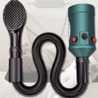 Power Hair Dryer for Dogs, High Power Hose Blowing Machine, Constant Temperature, Puppy Travel Supplies, Household Pet Dryer