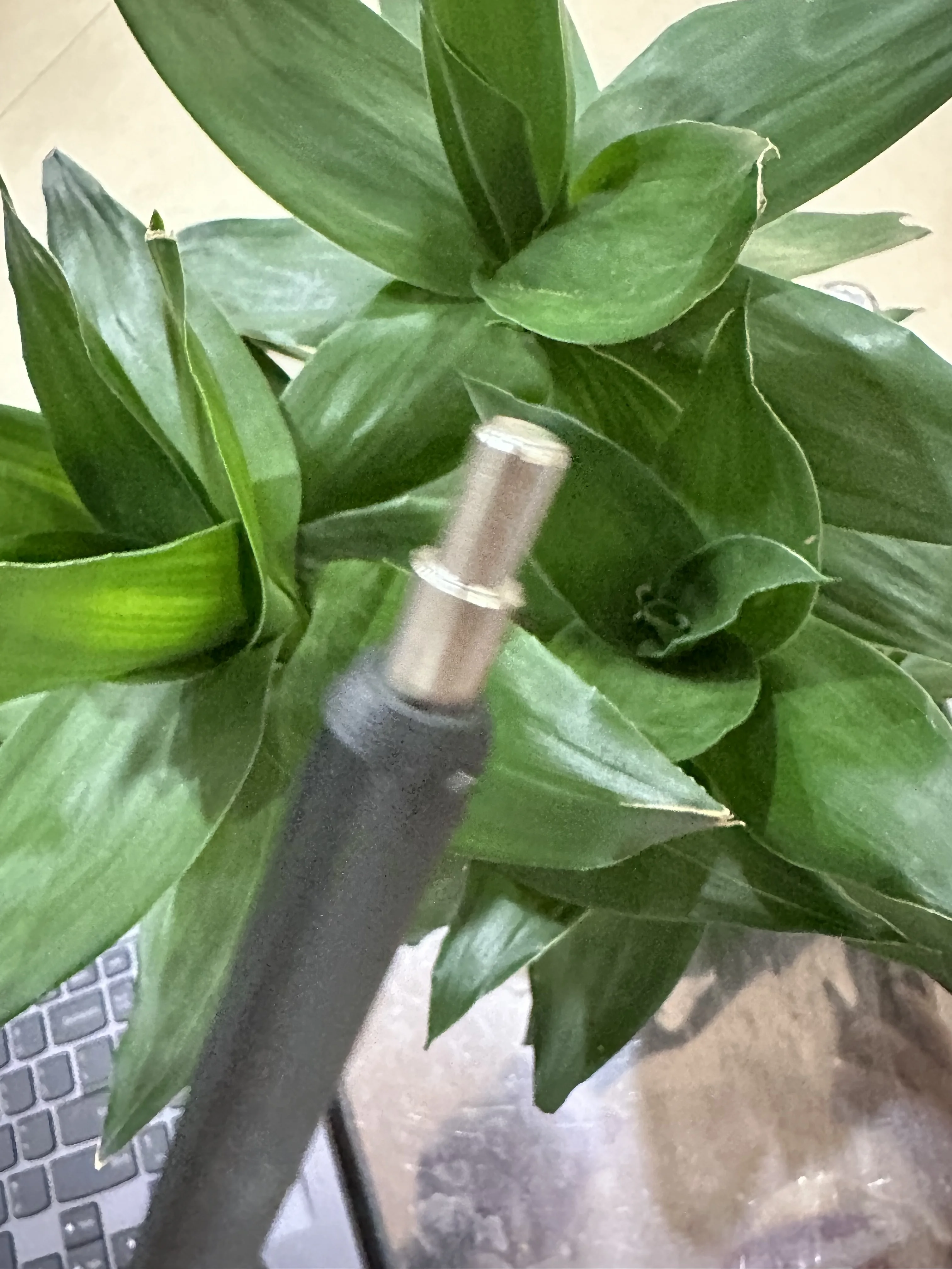 

4pcs NPG-71 PCR Charge Roller for Canon IR C 5535 5540 5550 5560 C5535 C5540 C5550 C5560