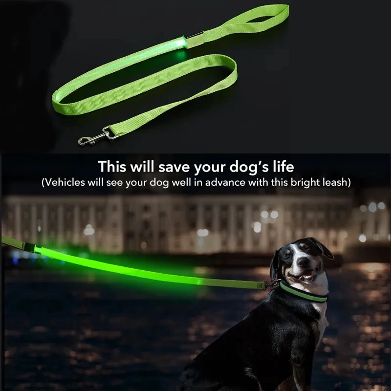 Led Haustier Hund Leine Seil Mit Licht Leuchtende Leine USB Lade für Hund Sicherheit Blinkende Leuchtende Kragen Harness Zubehör – Detail 13