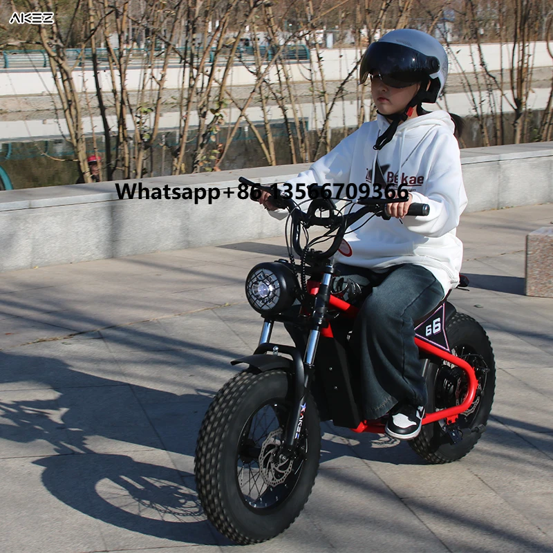

16 Inch Electric Bike Fat Tire Electric Bicycle 36V 350W Motor Aluminium Alloy Frame Ebike