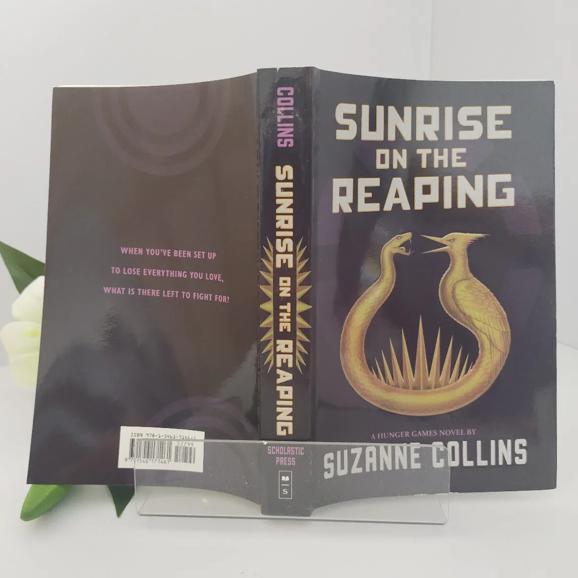 شروق الشمس على ريبينج (رواية ألعاب الجوع)