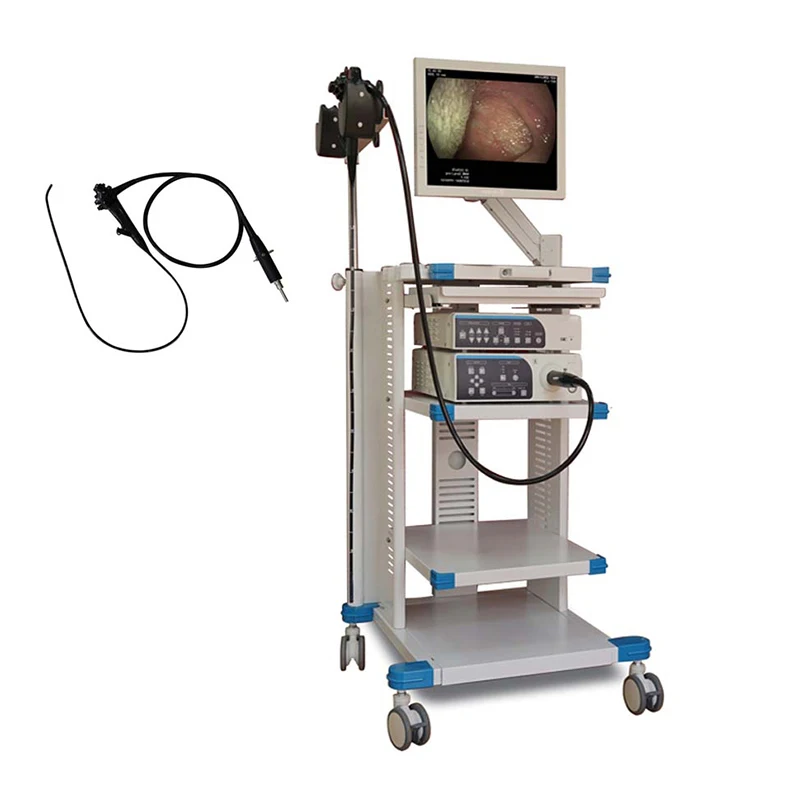 New Arrivals Medical Gastroscope Colonoscope Camera Endoscope Machine Gastroscopy Video Endoscopy System Laparoscope