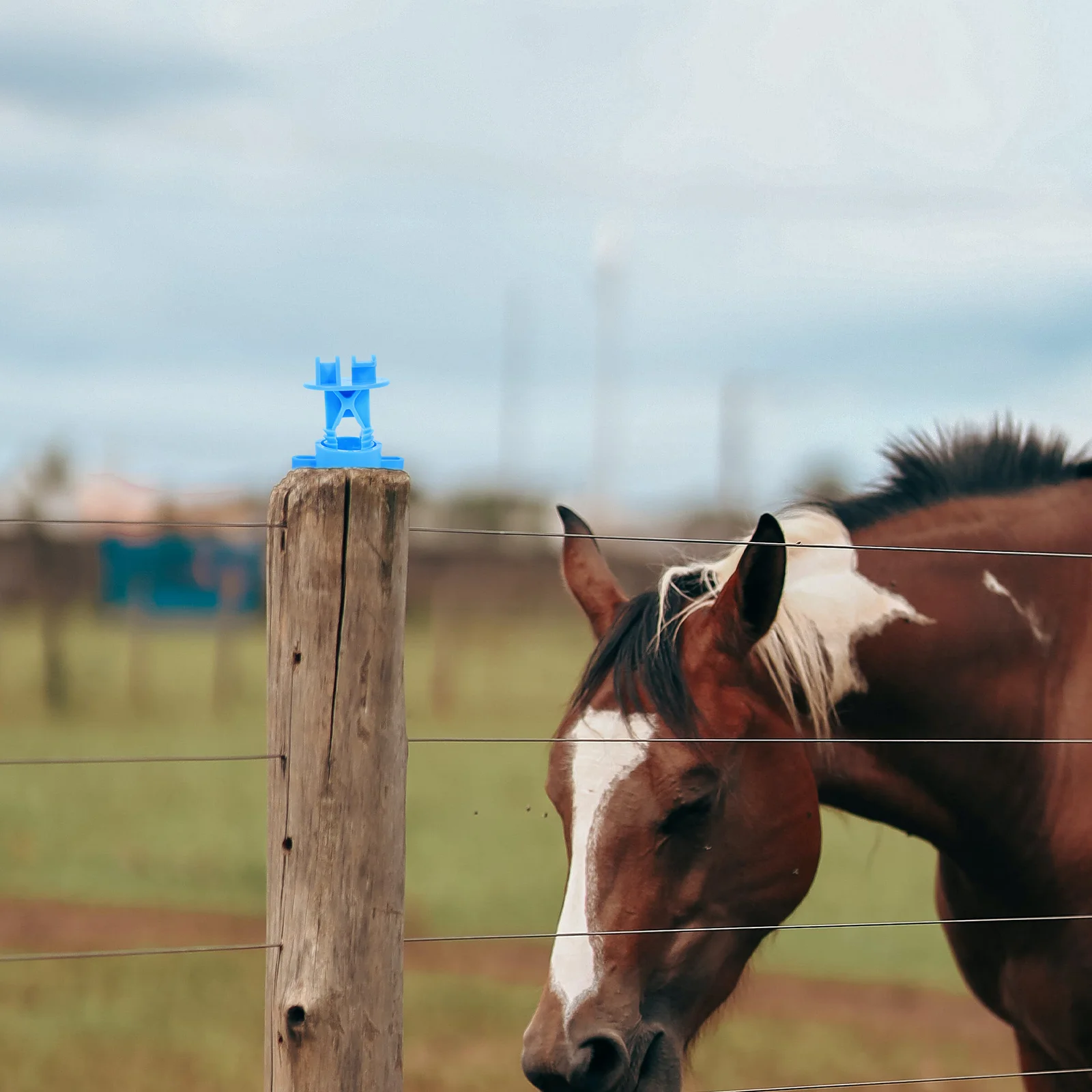 Isolador de cerca, aisladores de alambre, accesorios de sistema de rejilla, Kit eléctrico, suministros agrícolas, abrazaderas para postes de ganado DIY