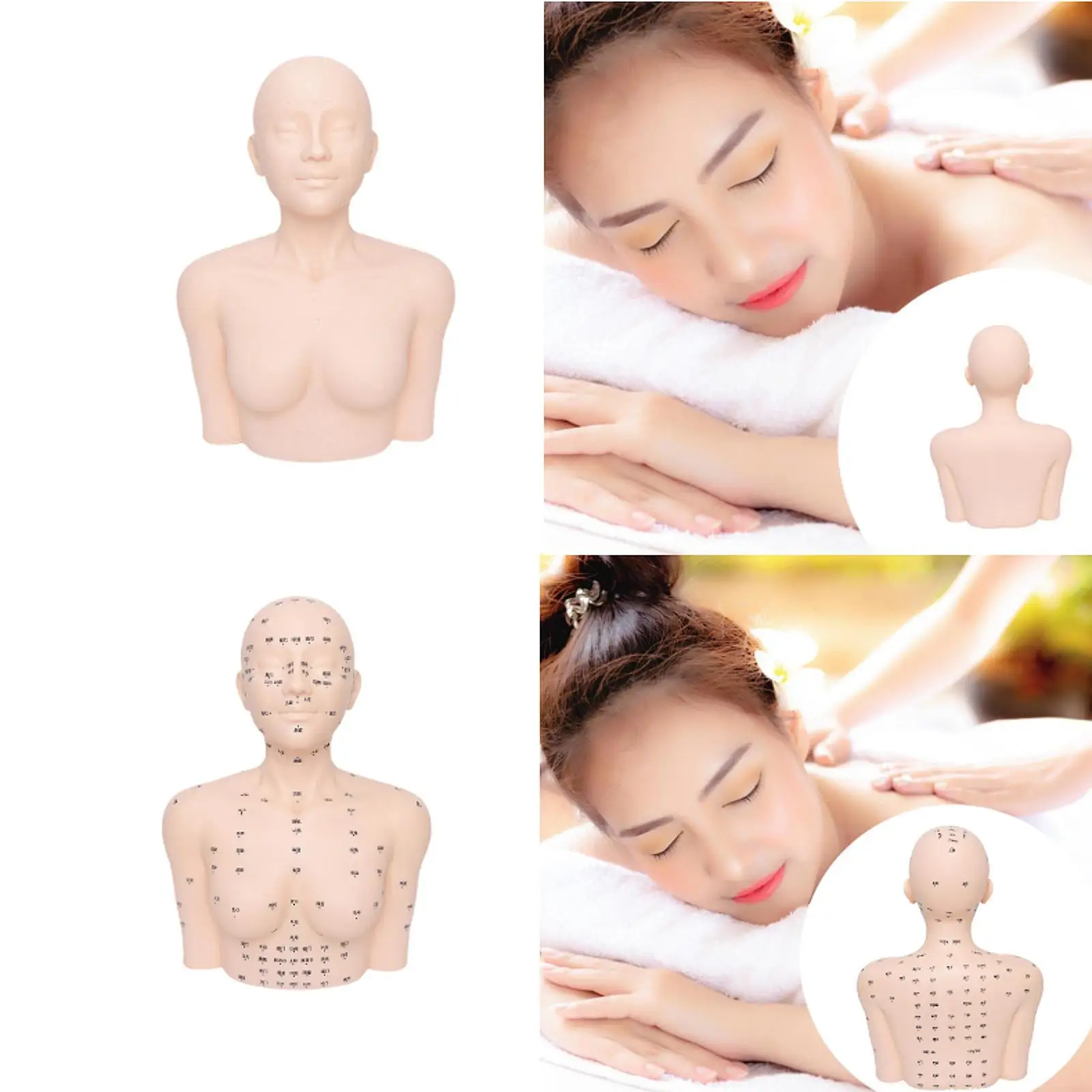 تدليك عارضة أزياء رئيس التجميل نموذج الممارسة للتدريب على تدليك التمريض