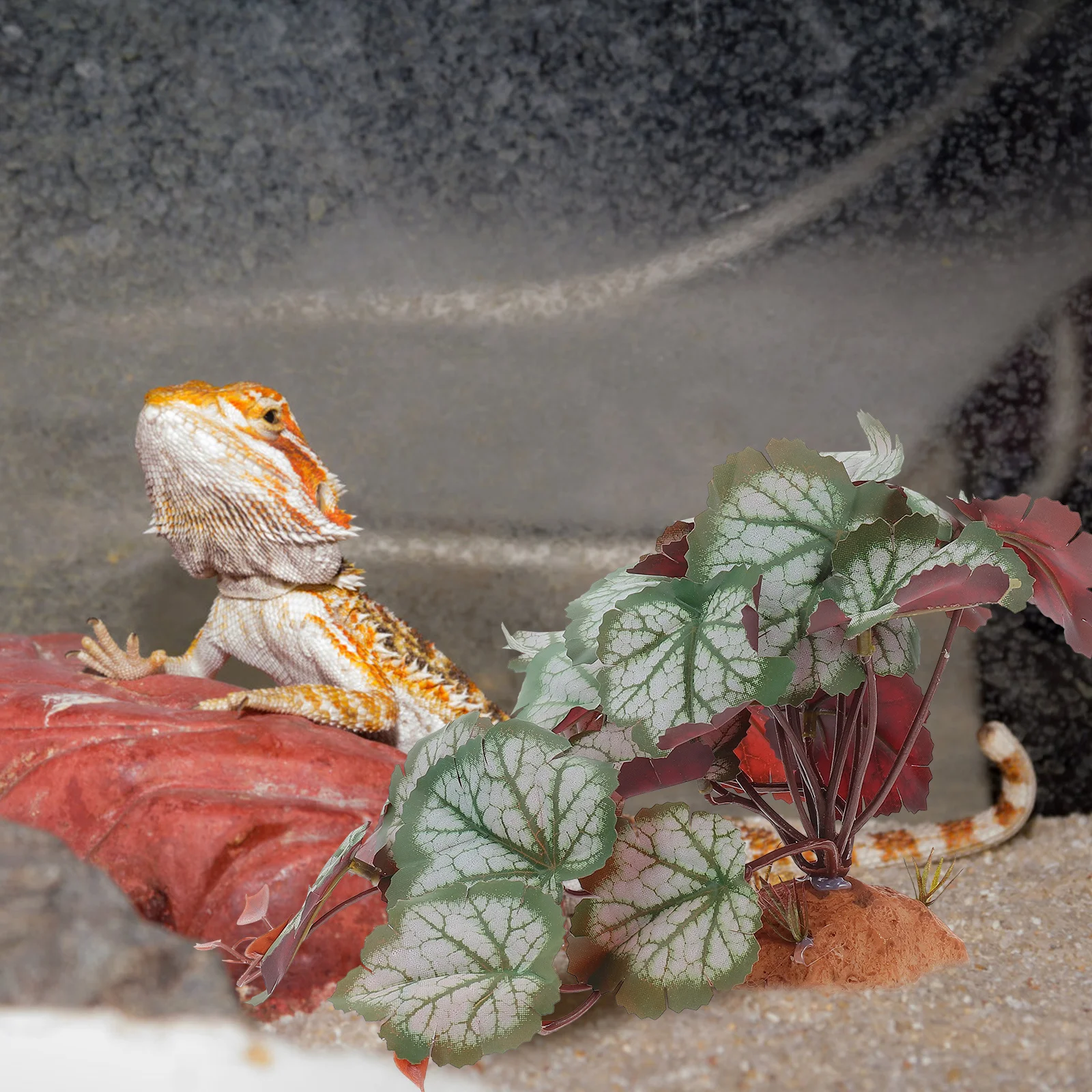 

Reptile Plant Decor Artificial Resin Plastic Terrarium Green Plant Safe Durable Reptile Box Landscape Decor Gecko Tank Plants