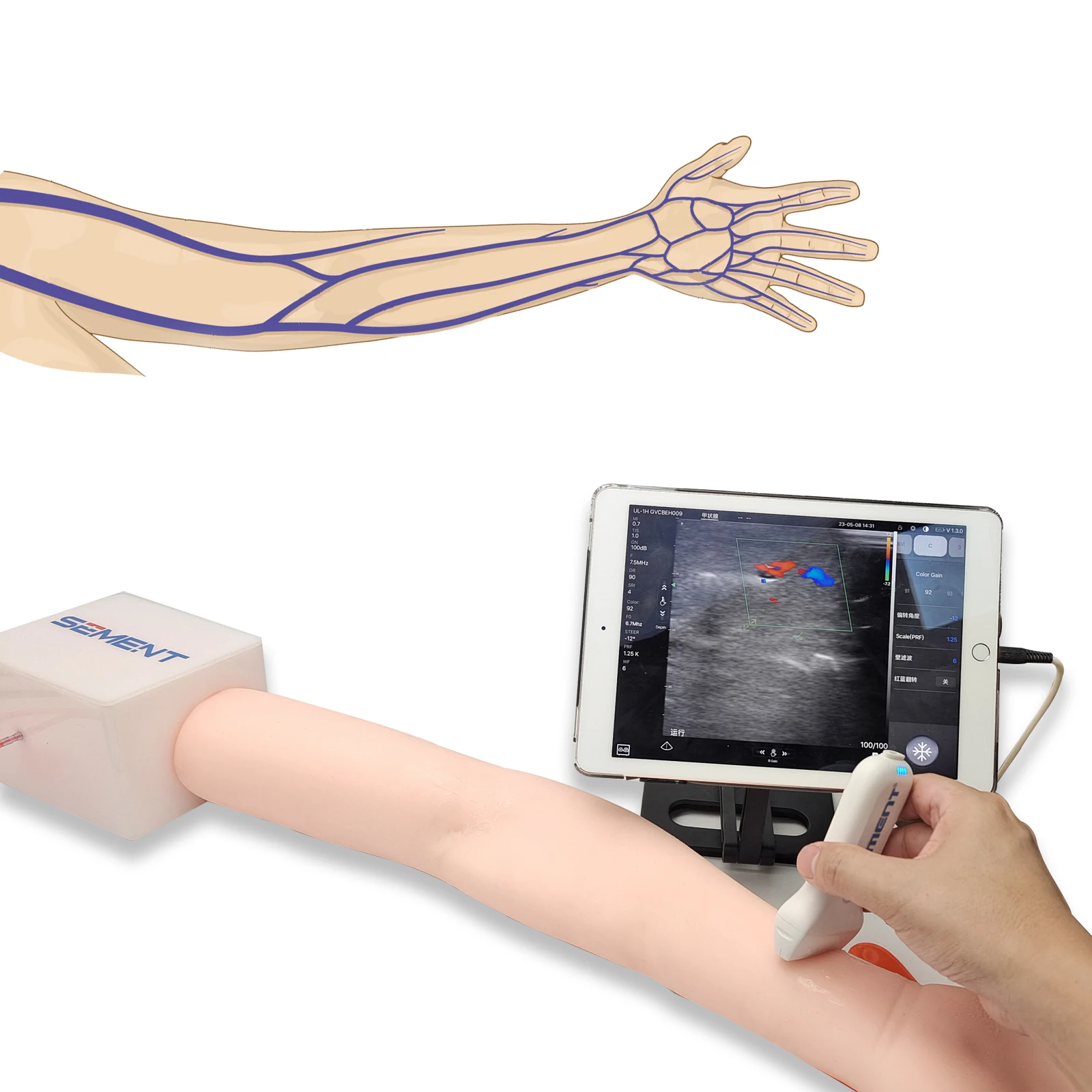 

Ultrasound phantom Simulater Arm Vascular Puncture Phantom - Radial Artery, PICC, Venous Puncture Phantom