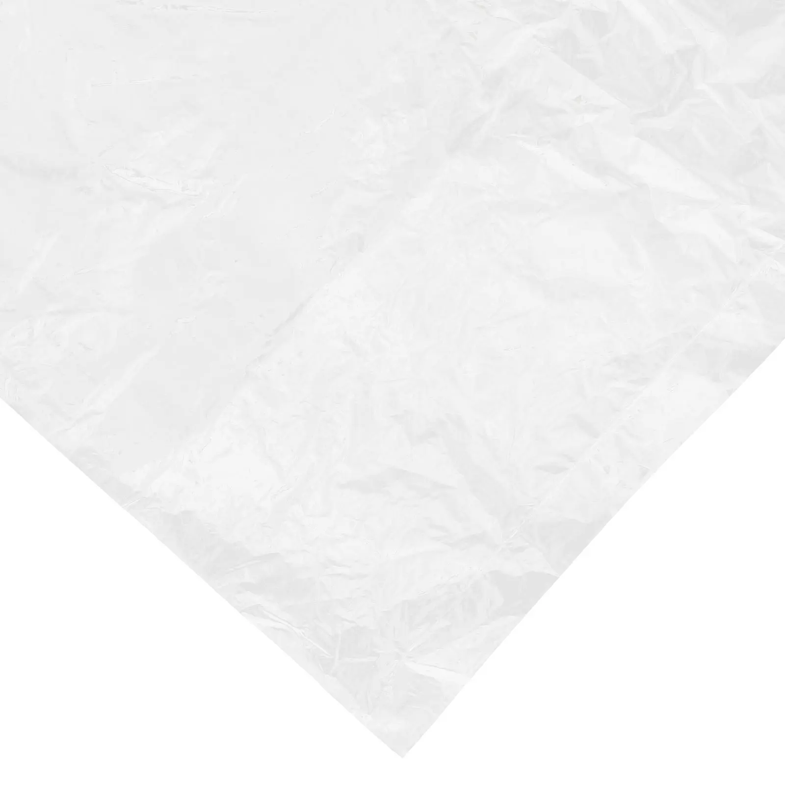 2 Pcs Balloon Protective Bag Clear Plastic Bags Transportation Air for Pe Travel